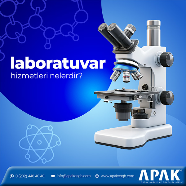 İzmir Laboratuvar Hizmetleri Nedir?