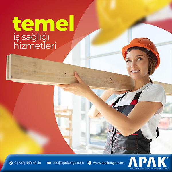 Temel İş Sağlığı Hizmetleri